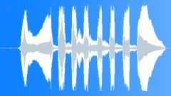 Loud joy male laughSound Effect