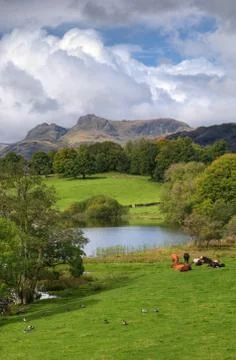 Loughrigg tarn, cumbria Stock Photos