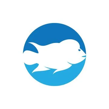 Louhan fish illustration Illustrazione stock