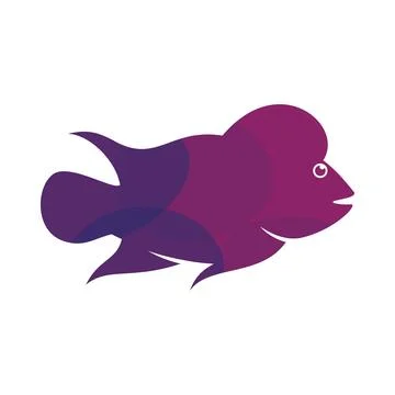 Louhan fish illustration 스톡 일러스트