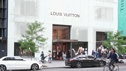 Louis Vuitton 5th Ave Stock Video Pond5