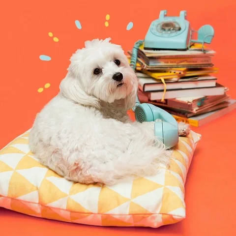 Louise  Loop HDSquare Stockbeeldmateriaal 93843556