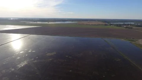 Louisiana fields Stock Photos