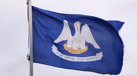Louisiana Flag Stockbeeldmateriaal 62417700