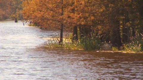 Louisiana River's Edge Stock Footage 33604381