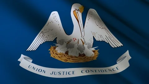 Louisiana State Flag Stock Footage 276105016