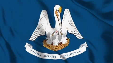 Louisiana State Flag Loop 4K 库存影片 243874461
