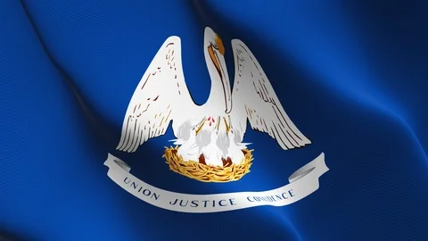 Louisiana US State flag loop waving on wind. Stock Footage 119228148