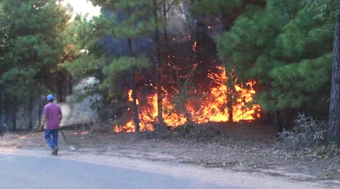 Louisiana wildfires Stock Footage 59737075
