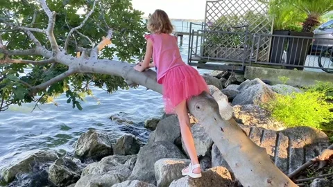 Louna Arbre Video stock 326300485