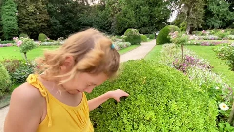 Louna Parc 2 Stock Footage 326300454