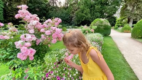 Louna Parc 6 Video stock 326300463