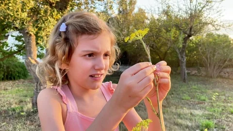 Louna Parc 9 Video stock 326300491