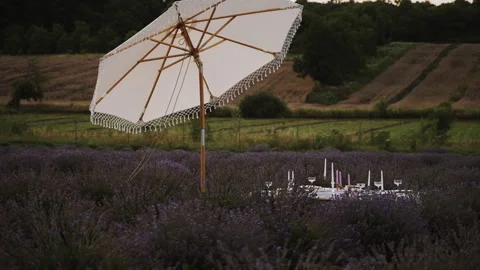 Lounge area located in the open air on a lavender field.  Concept for holiday Видео 252100767