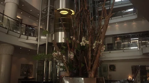 Lounge area top view. Cafe in modern hotel lobby, top view. 3d visualization Vidéo 262348046