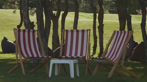 Lounge chairs stand in the shade of trees in a city park Stock-Footage 341437302
