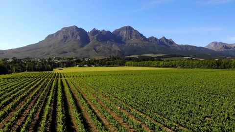 Lourensford - flying to Helderberg, Somerset West, Cape Town, South Africa Stock Footage