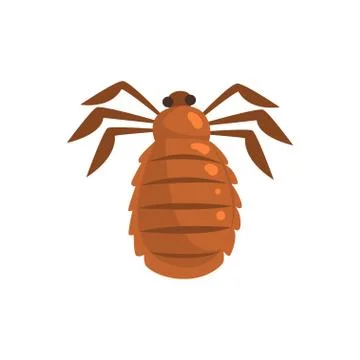 Louse insect parasite cartoon vector illustration 스톡 일러스트