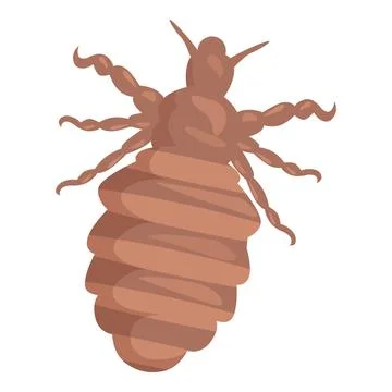 Louse insect parasite crawling spreading disease Stock Illustration