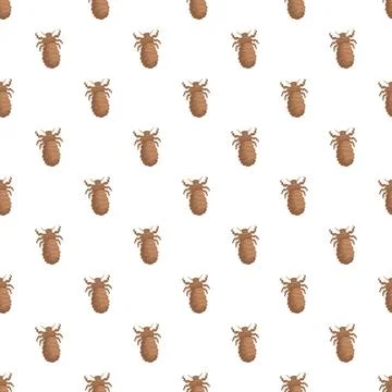 Louse insect pest pattern vector illustration 스톡 일러스트