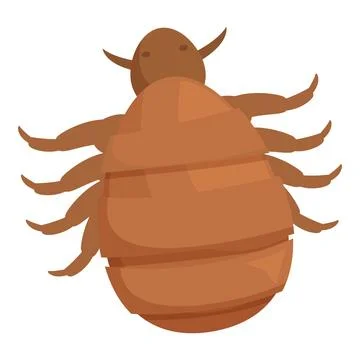 Louse insect spreading disease through bite with tiny legs and body segments Illustrazione stock
