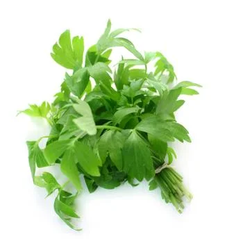 Lovage Stock Photos