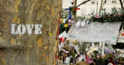 Love and Bataclan Stock Footage 60206758