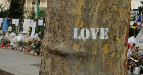 Love and Bataclan Stock Footage 60207152