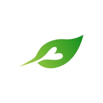 Love and Leaf Logo combination Vector Design Stock Illustration