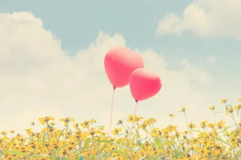 Love Balloons Stock Photos