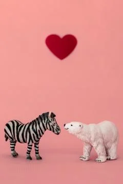 Love between the different and opposed: a polar bear and a zebra. Stock Photos