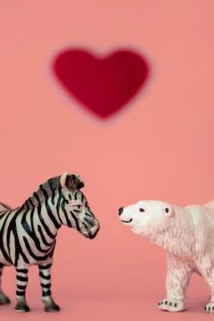 Love between the different and opposed: a polar bear and a zebra. Stock Photos