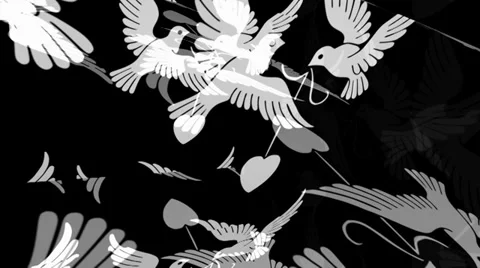 Love Birds Turning Видео 34301275