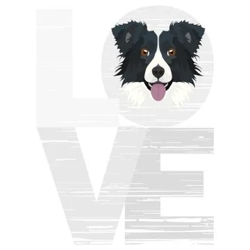 Love Border Collie. Stock Illustration