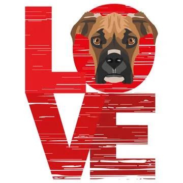 Love Boxer. Illustrazione stock