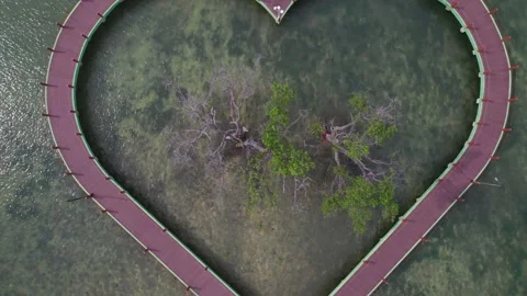 LOVE BRIDGE ON THE SHORE 库存影片 201213203