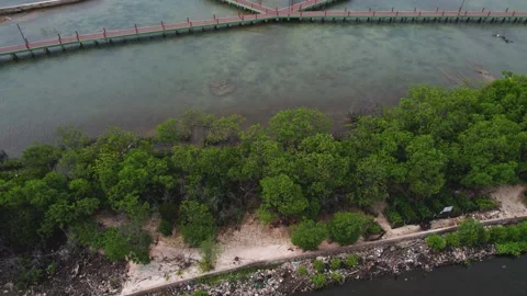 LOVE BRIDGE VERSION 2 库存影片 201213213