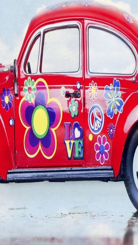 Love bug Stock Footage 325511936