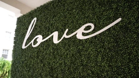 Love bush Stock Footage 104785559