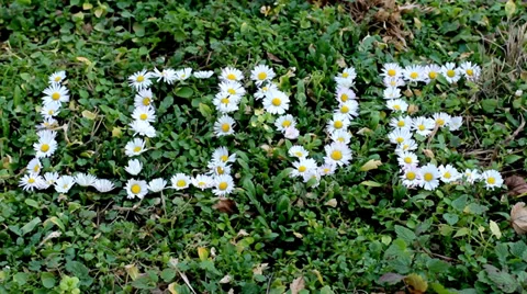 Love. Camera Movement. Video stock 34448534