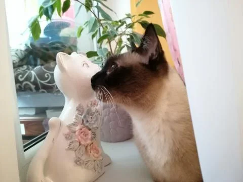 Love cheating Stock Photos