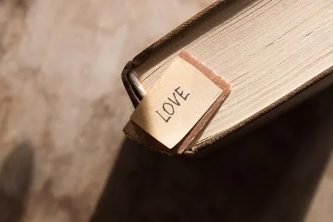 Love concept. Stock Photos