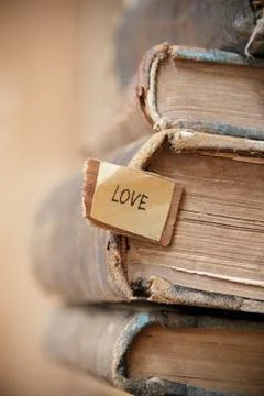 Love concept. Stock Photos
