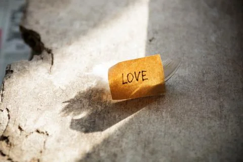 Love concept. Stock Photos