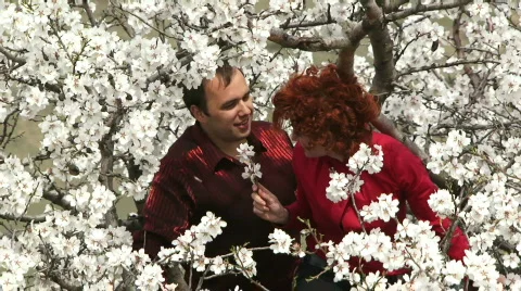 Love couple sitting in a tree Stock Footage 809027