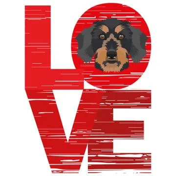 Love Dachshund. Illustrazione stock