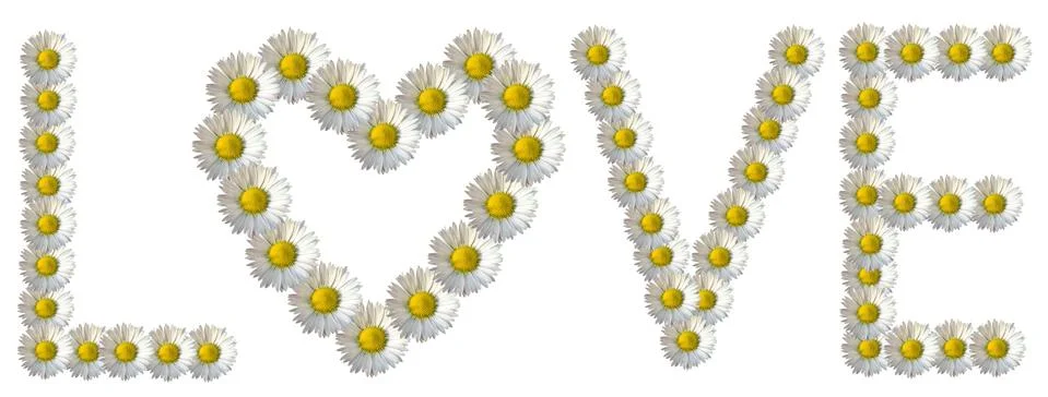 Love Daisy Caption Stock Photos