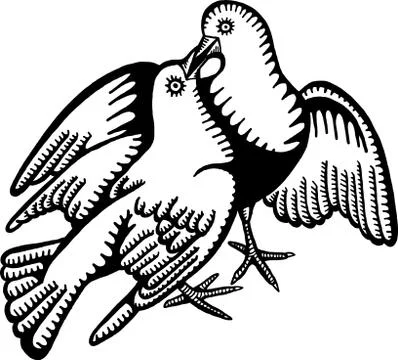 Love Doves Stock-Illustration