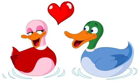 In love ducks Illustrazione stock