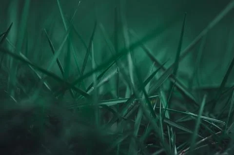 Love the environment Grass top background Stock Photos